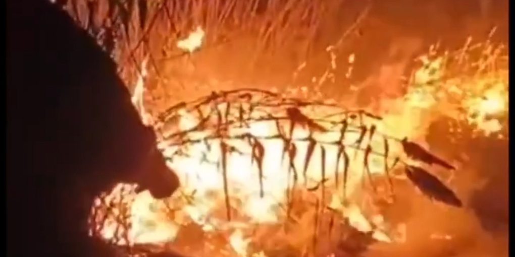 Incendio naturale nella regione di Rostov in Russia causa preoccupazione per l'ambiente e la popolazione locale