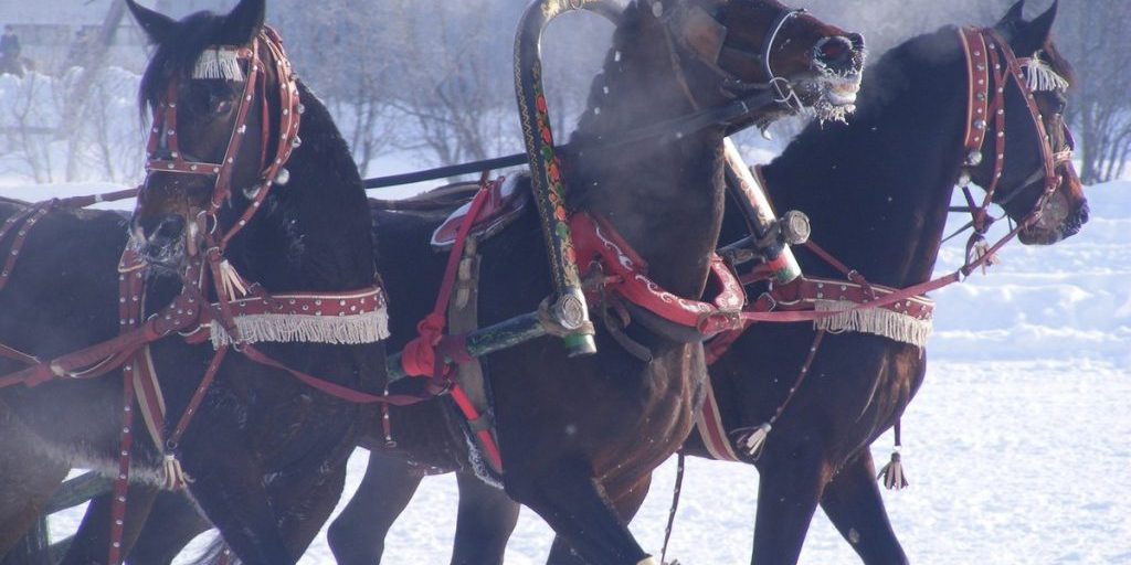 La Regione di Vologda si Apre al Turismo Rurale con l'Atlante Federale dei Percorsi