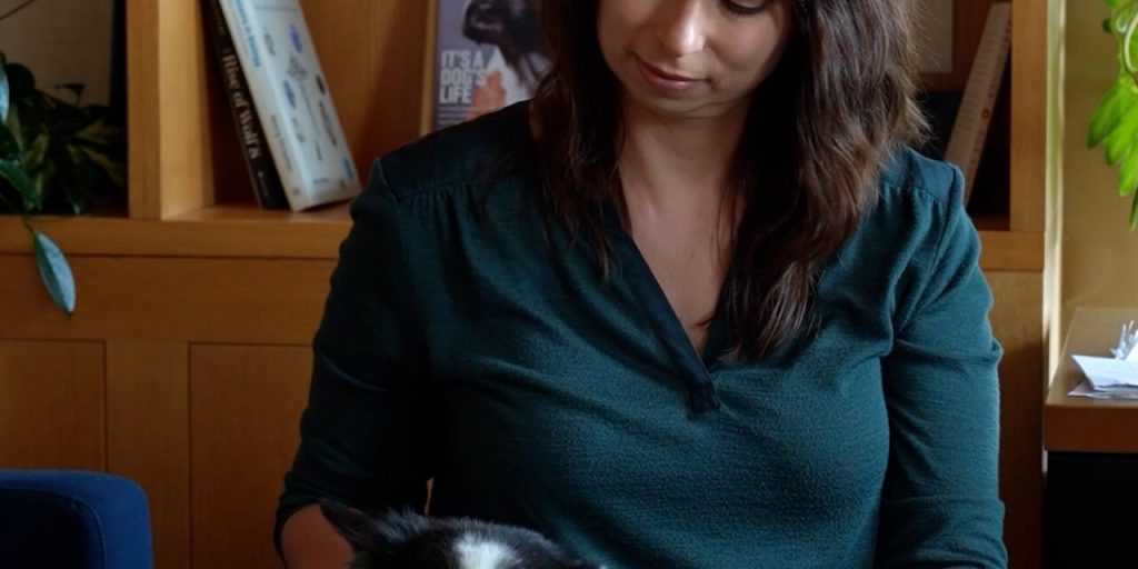 Ricerca innovativa sui cani da servizio: migliorare l'addestramento per aiutare le persone con disabilità