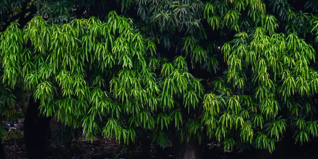 Venezuela: la complessa dinamica politica e militare e le possibili conseguenze di un intervento esterno