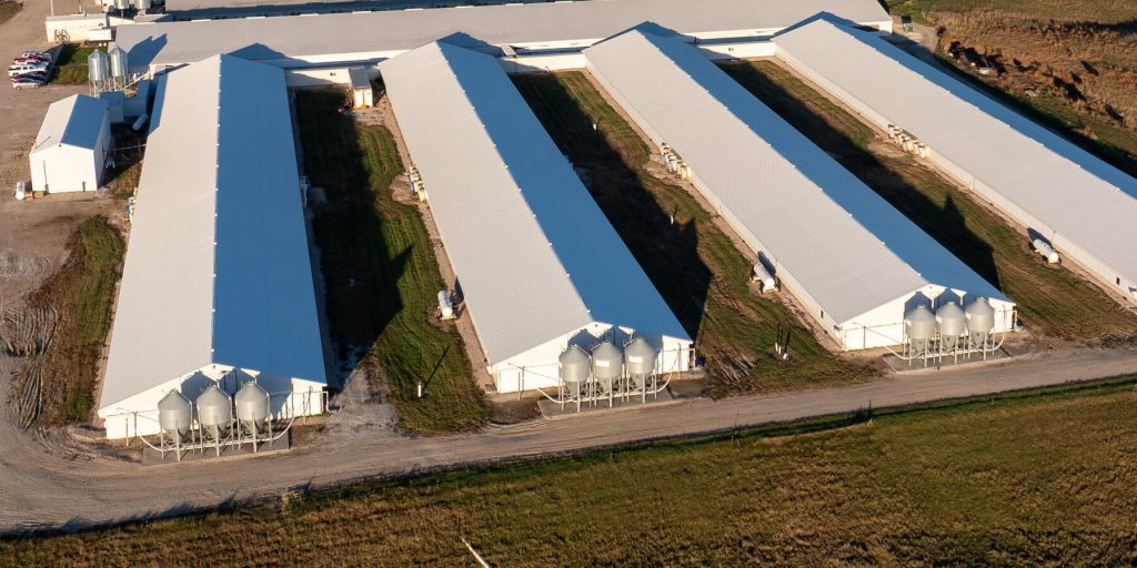 Morte di un giovane di 17 anni in una fattoria di maiali del Nebraska: la famiglia del governatore cerca risposte