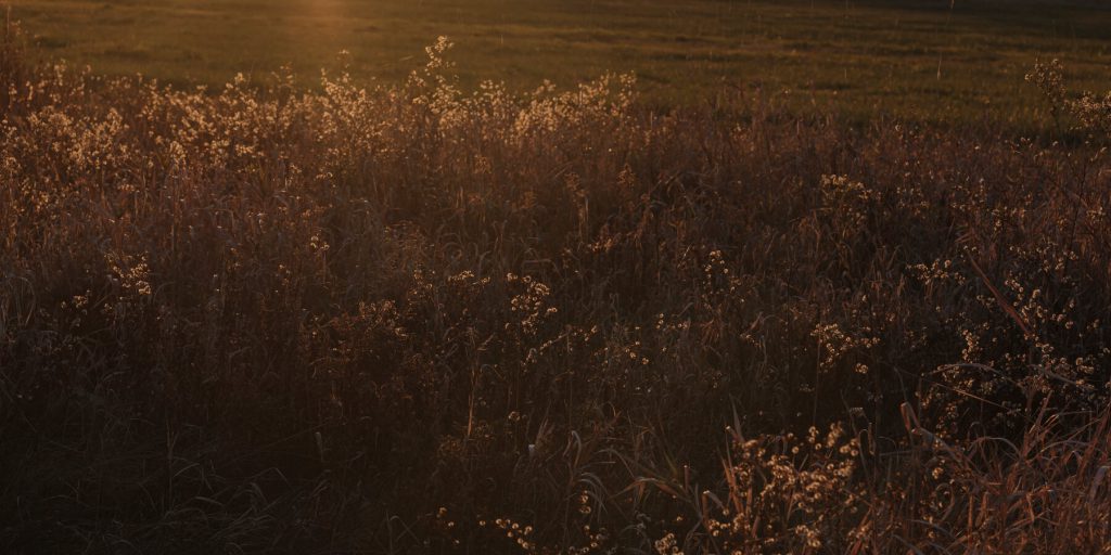 Lia Smith, studentessa transgender del Middlebury College, si è tolta la vita