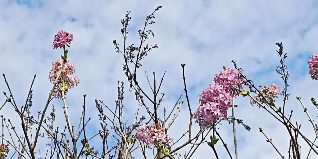 В Оренбургской области началось Бабье лето