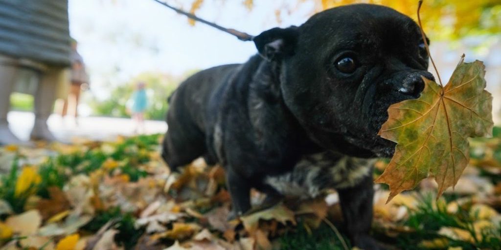 Волгоградцам дали советы по борьбе с осенней хандрой