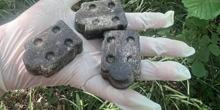 Vaccinazione contro la rabbia nella regione di Mosca: una misura cruciale per la salute pubblica e l'ecosistema