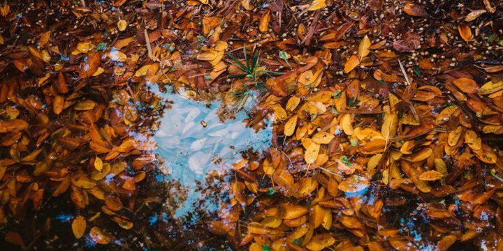 25 октября в Брянской области пройдут сильные дожди