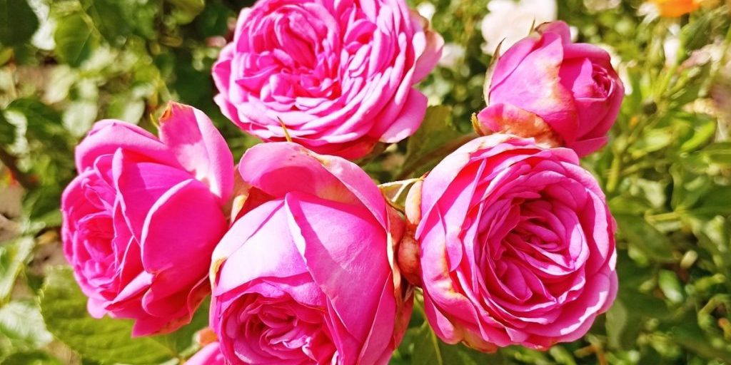 Сила магнитной бури 20 сентября составит 3 балла: удачная пора для любых начинаний