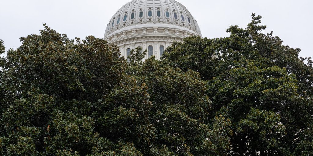 Il Congresso valuta come riprendere il suo potere nel secondo anno di Trump