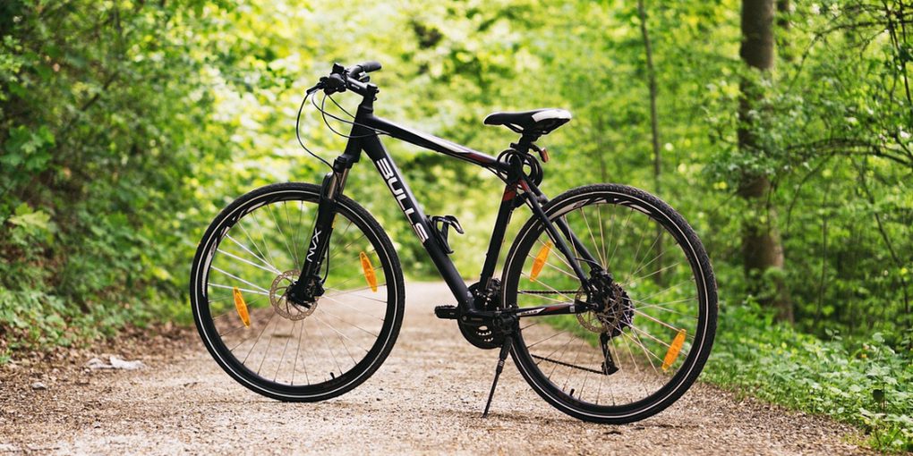 Более 650 жителей Орловщины увлекаются велоспортом