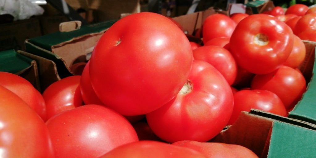 В Калининград попытались доставить тонну марокканских помидоров с вредителями