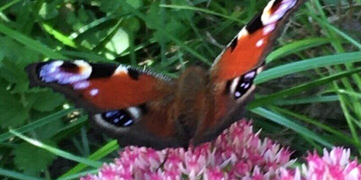 Previsioni Meteo Favorevoli per la Regione di Voronež: Temperature Mite e Possibili Impatti sulla Vita Quotidiana