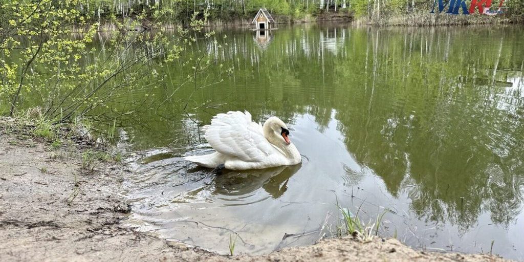 Abbassamento della Temperatura nella Regione di Rjazan: Previsioni e Impatti Possibili