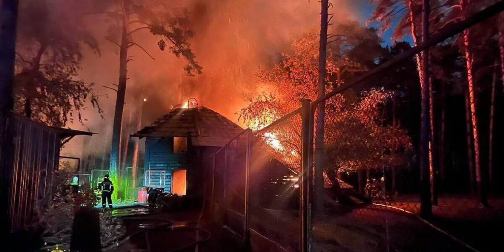 Incendio devastante nel Novosibirsk Zoopark: morte di animali e gravi conseguenze per la conservazione della biodiversità