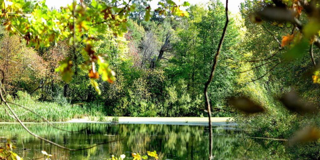 В Марий Эл змеи готовятся к зимовке, зато вернулись комары