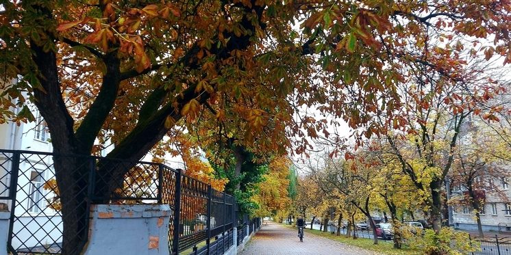 Жителей Калужского региона ждёт ночной туман