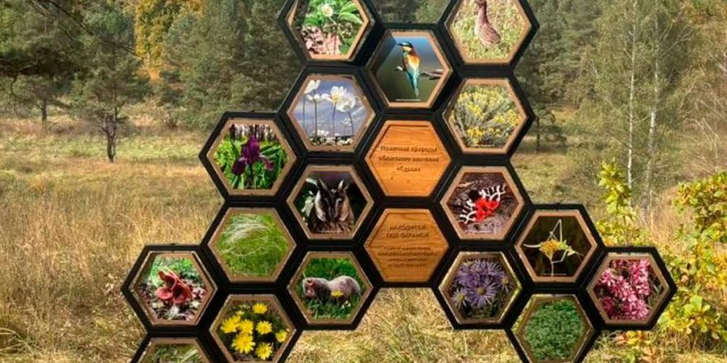 Липецкая область обретает новые экосообщества