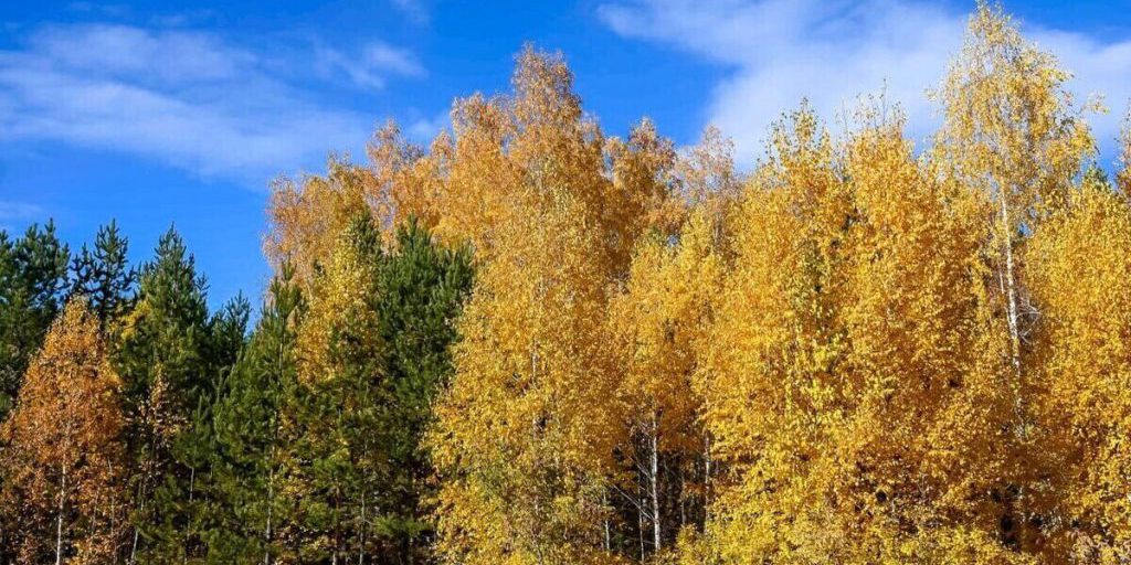 До +21 градуса будет в субботу на Южном Урале