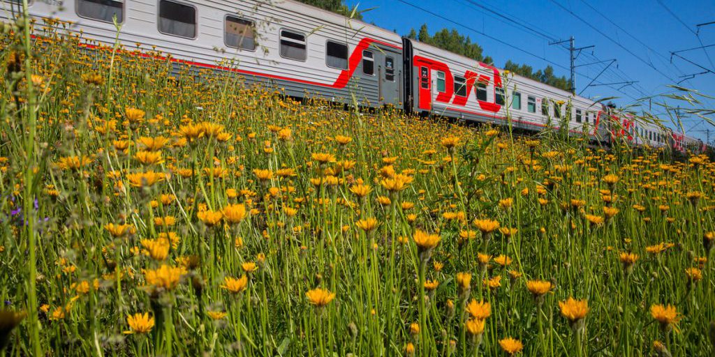 Prolungamento del servizio dei treni "Орлан" tra Pereslavl'-Zaleskij e Aleksandrov: una scelta strategica per il trasporto pubblico e lo sviluppo economico locale