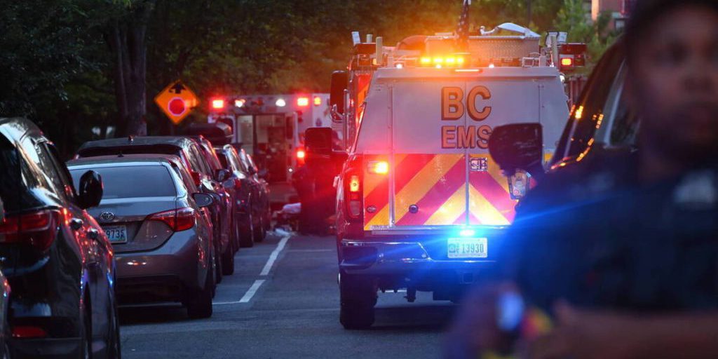 Американец врезался в корову и умер