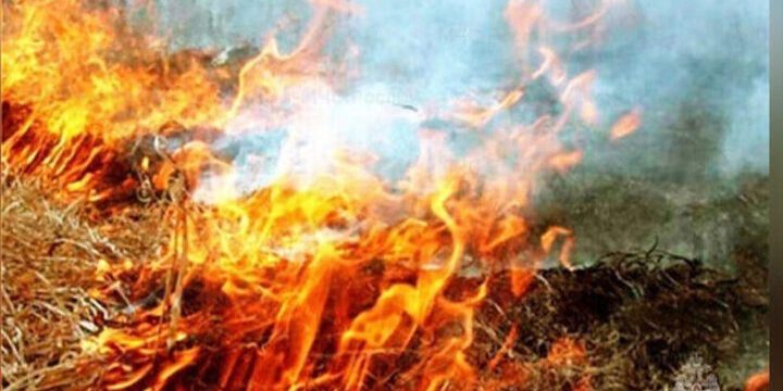 Внимание жителям и гостям Тамбова: объявлен 4 класс пожарной опасности