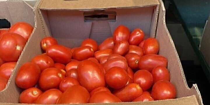 "Владимир Плотников: il successo di un giovane agricoltore grazie al sostegno del grant "Agrostartup" nella regione di Belgorod"