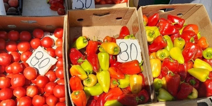 Lugansk Celebra 230 Anni di Storia con una Festa Speciale