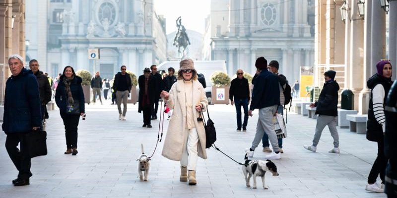 081705594-fef0148b-1fdc-4f58-99f4-75b622f01ae1