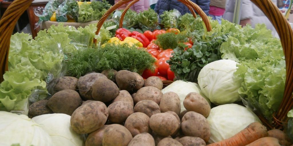 "Agrofestività autunnale: scopri le tradizioni rurali al festival 'Doni dell'autunno' a Vologda"