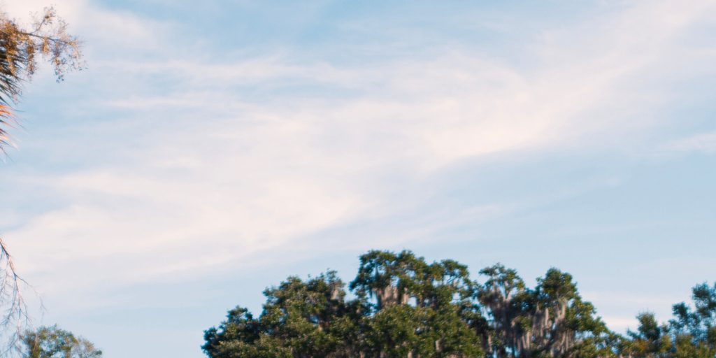 Cambiamento del percorso della parata del Penn Center Heritage Day: una minaccia alla cultura Gullah Geechee?