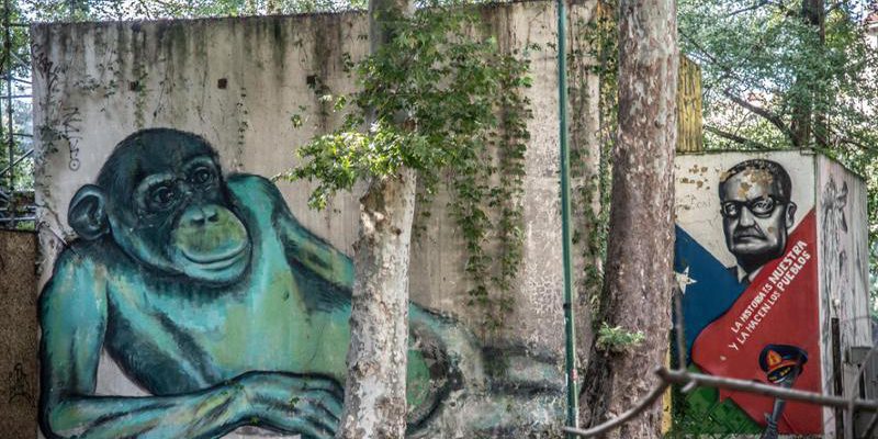 Notizie locali del 10 gennaio: parco abbandonato, piscina Trecate e animali in zona rurale