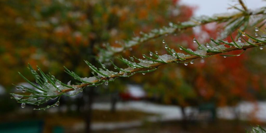 Дождь и гололедица ожидают южноуральцев в выходные