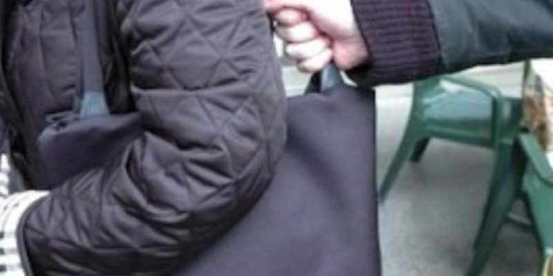 Tre rapine a Pozzo Strada, tentativo di furto di cani