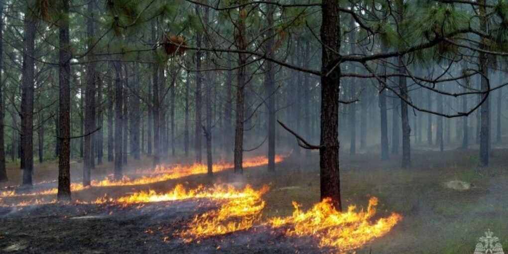 Allarme incendi in provincia di Ivanovo: alta pericolosità fino al 25 settembre 2025