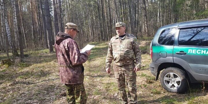 Calo dei Reati contro il Regime Antincendio nelle Foreste della Ciuvascia: Una Svolta Positiva per la Sicurezza e la Protezione Ambientale