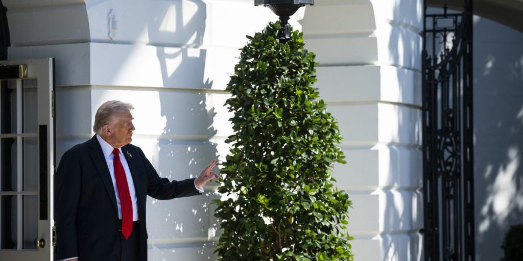 Стало известно о бое UFC в Белом доме на юбилей Трампа