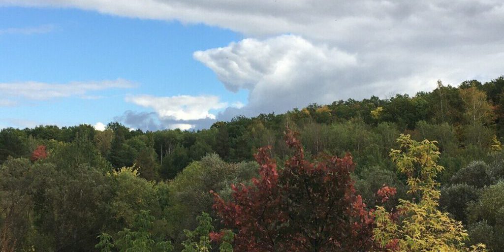 В Воронежской области за 6,5 часов тревожного режима был уничтожен один БПЛА