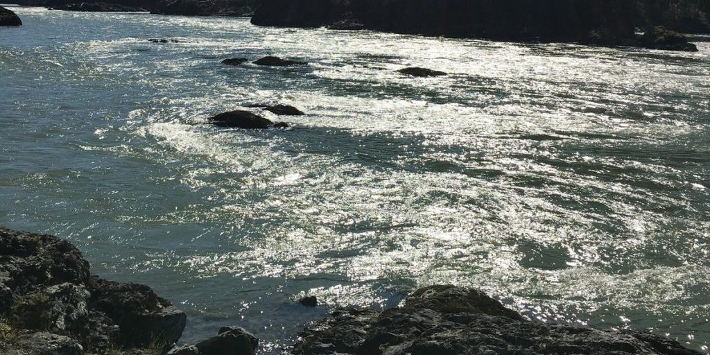 Под Орлом прошёл водный супермарафон «Золотая осень – 2025»