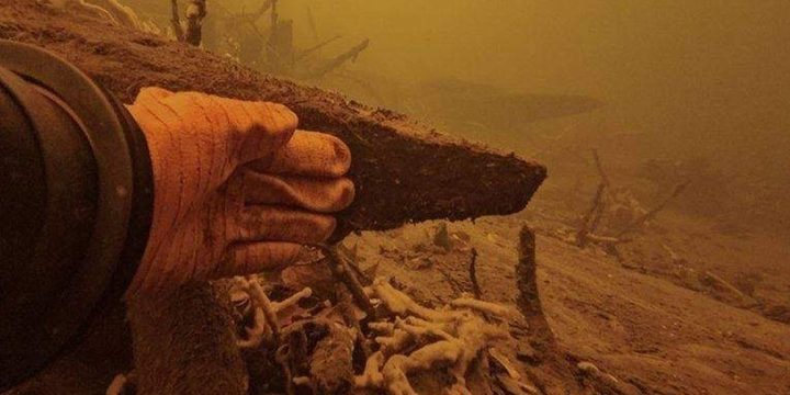 Scoperta storica nel fiume Seim: i resti di un antico mulino riemergono dal passato