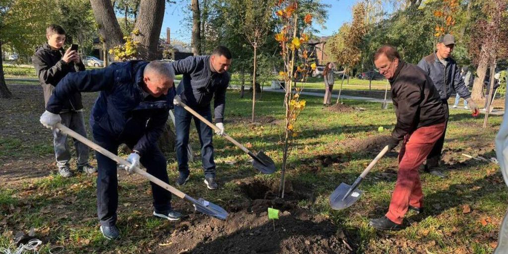 Rostov sul Don: 3000 Alberi e 6000 Cespugli Piantati per Migliorare l'Ambiente Urbano