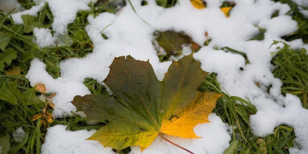 Previsioni Meteo per la Carelia: Tempo Nuvoloso con Schiarite il 24 Settembre