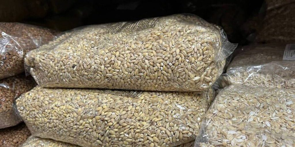 В этом году зерно из Калининградской области отправили в Китай и Сербию