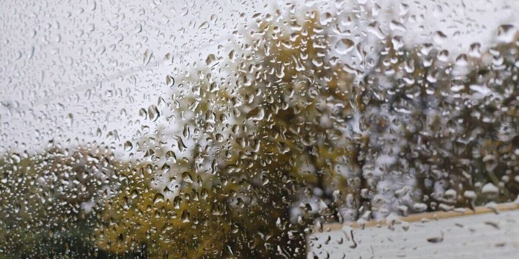 В Мурманской области 25 сентября ожидается дождь и порывистый ветер