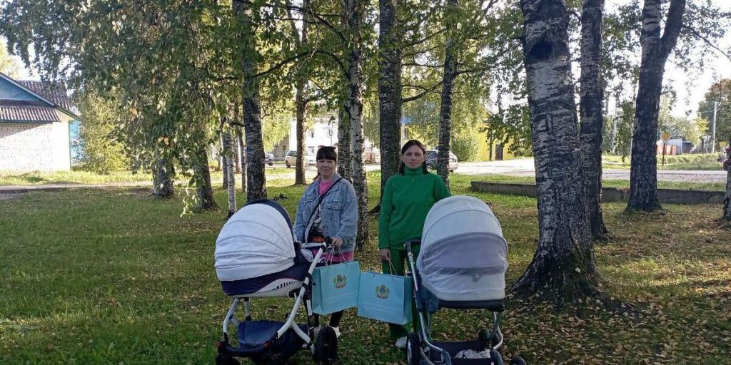 Еще двумя многодетными семьями пополнилась кострмоская земля