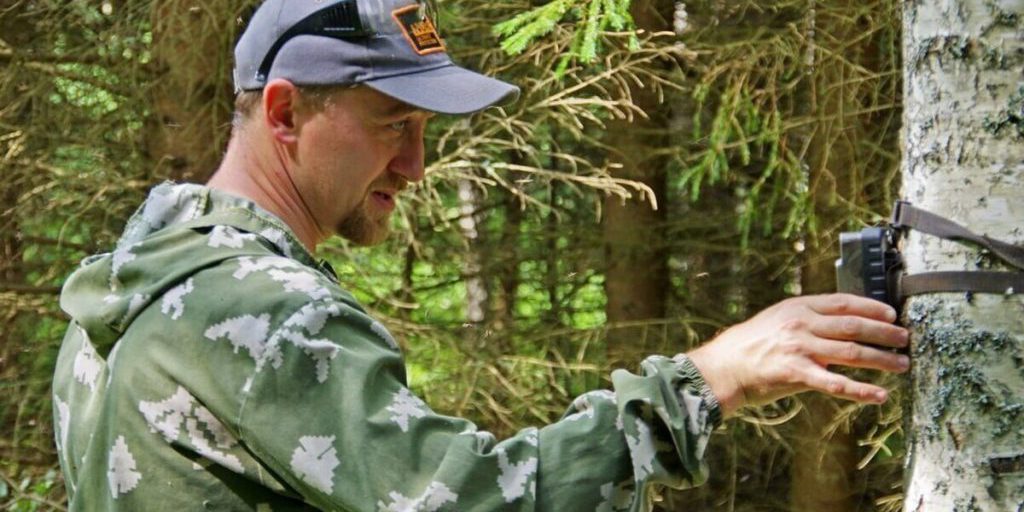В Орловском полесье установят онлайн-камеры для наблюдения за зубрами