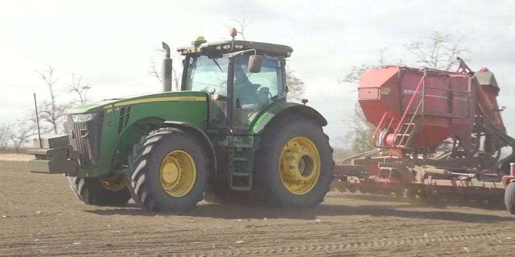 В Херсонской области засеяли озимую пшеницу на площади в 1000 га