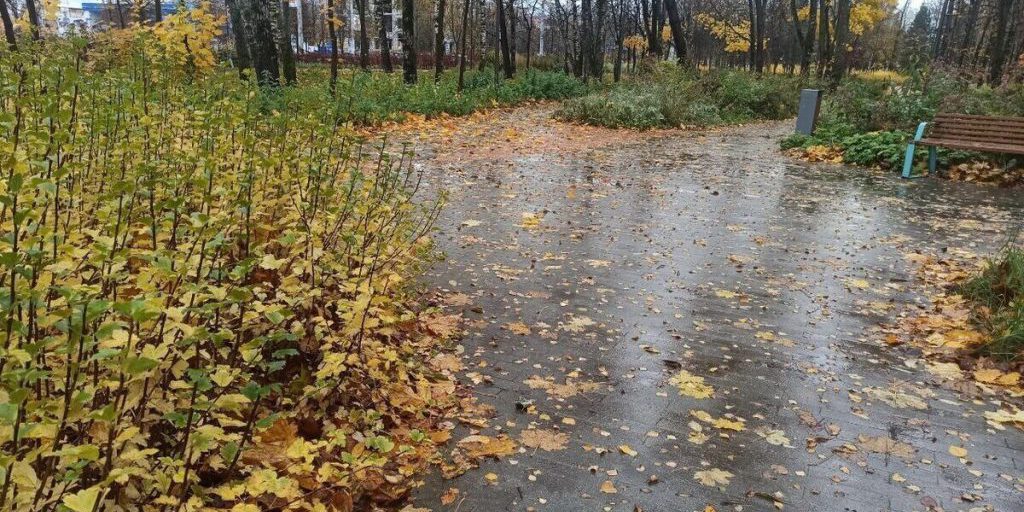 Снег отменяется во Владимирской области