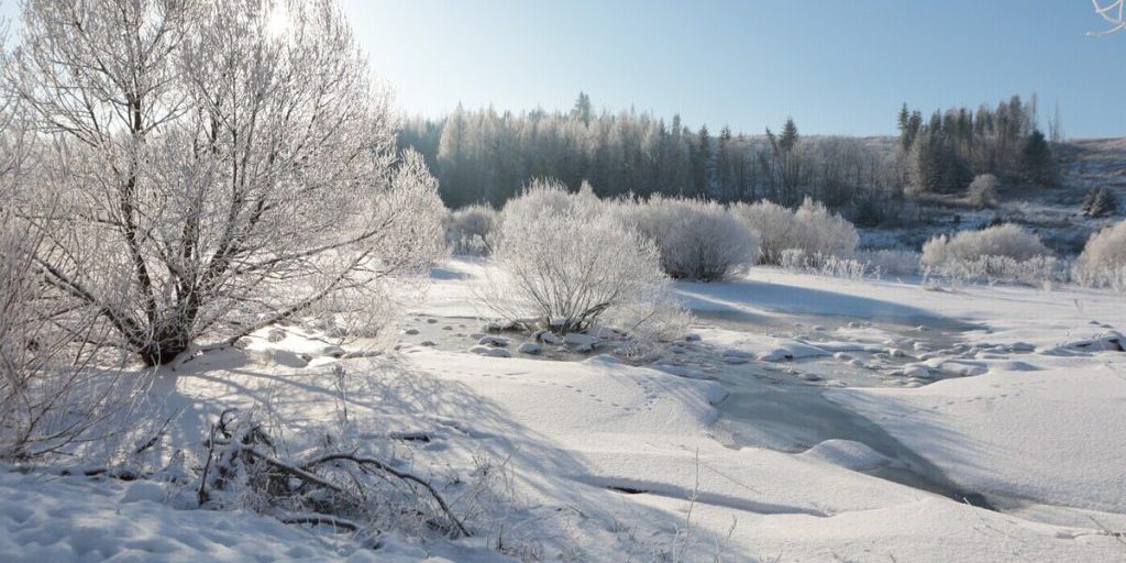 В России ударили первые 25-градусные морозы