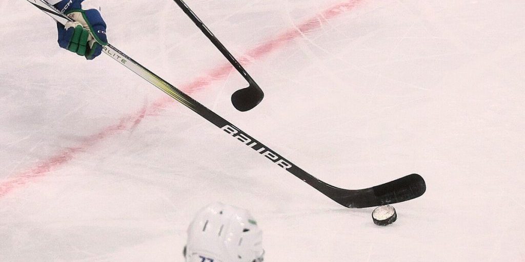 Ледовый дворец в Выборге станет ареной хоккейных баталий регионов