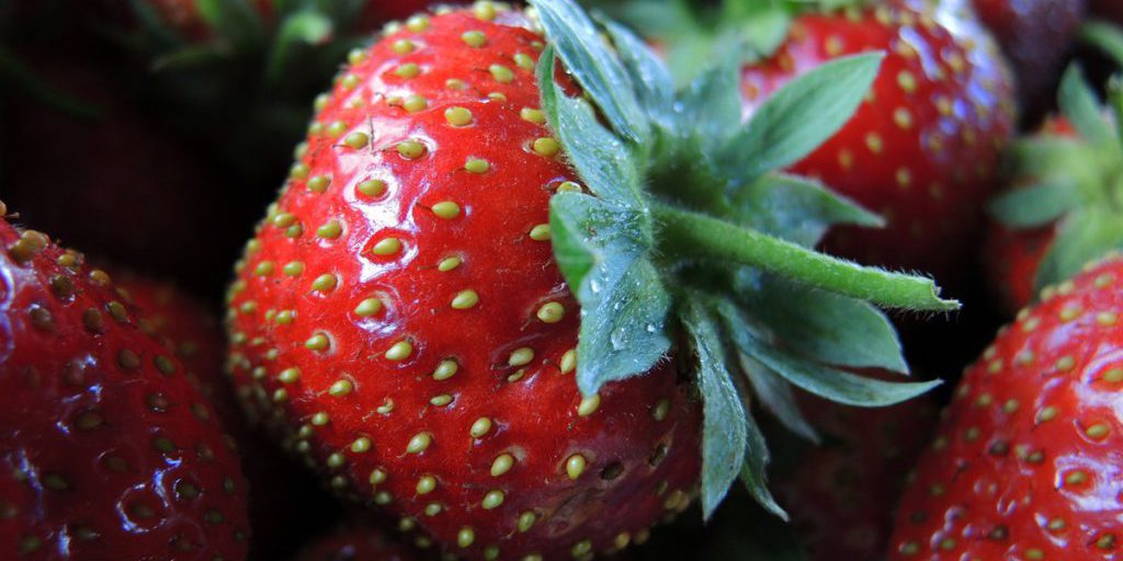 "Putin visita il centro tecnologico 'Sirius': scoperte rivoluzionarie nella genetica delle piante"