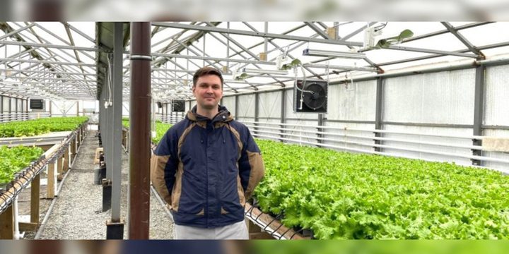 Карельский разработчик умной теплицы получил золотую медаль на престижной выставке